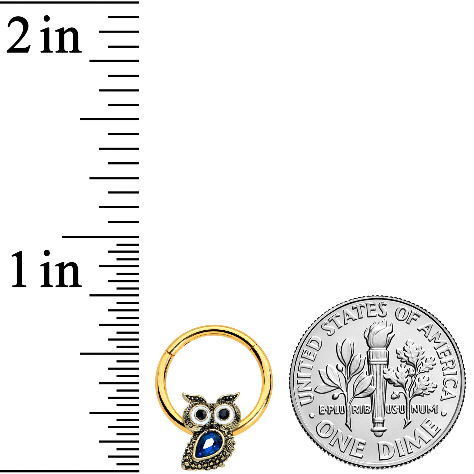 16G 3/8 Blue Gem Gold Tone Wide Eyed Owl Hinged Segment Ring