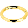 Implant Grade Titanium Hinged Segment Ring - 16G 5/16