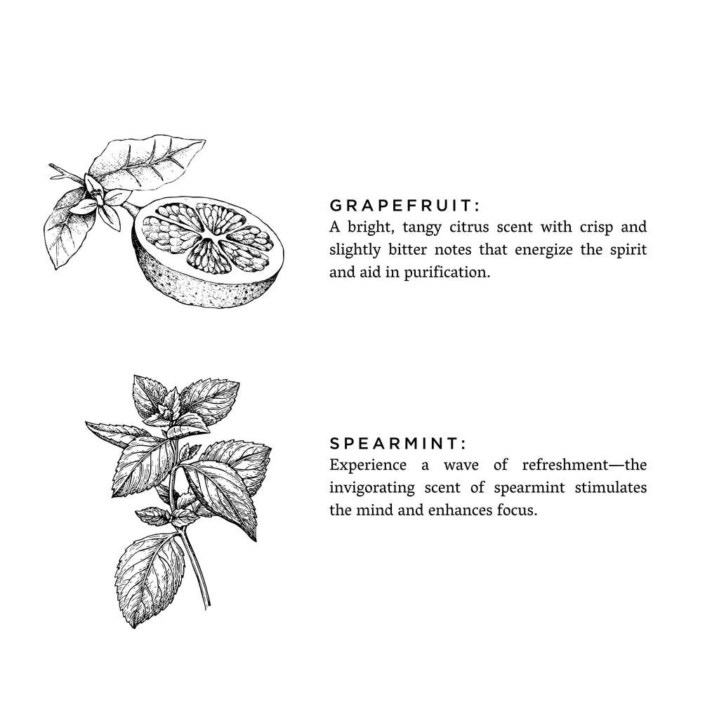 Grapefruit + Spearmint - Signature Candle