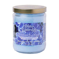 Blue Serenity Candle - Smoke Odor Exterminator