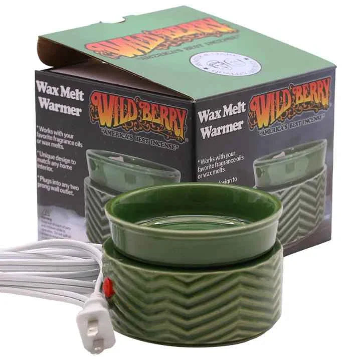 Electric Wax Warmer 2 Prong