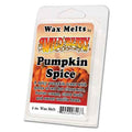 Pumpkin Spice Wax Melt - Wild Berry